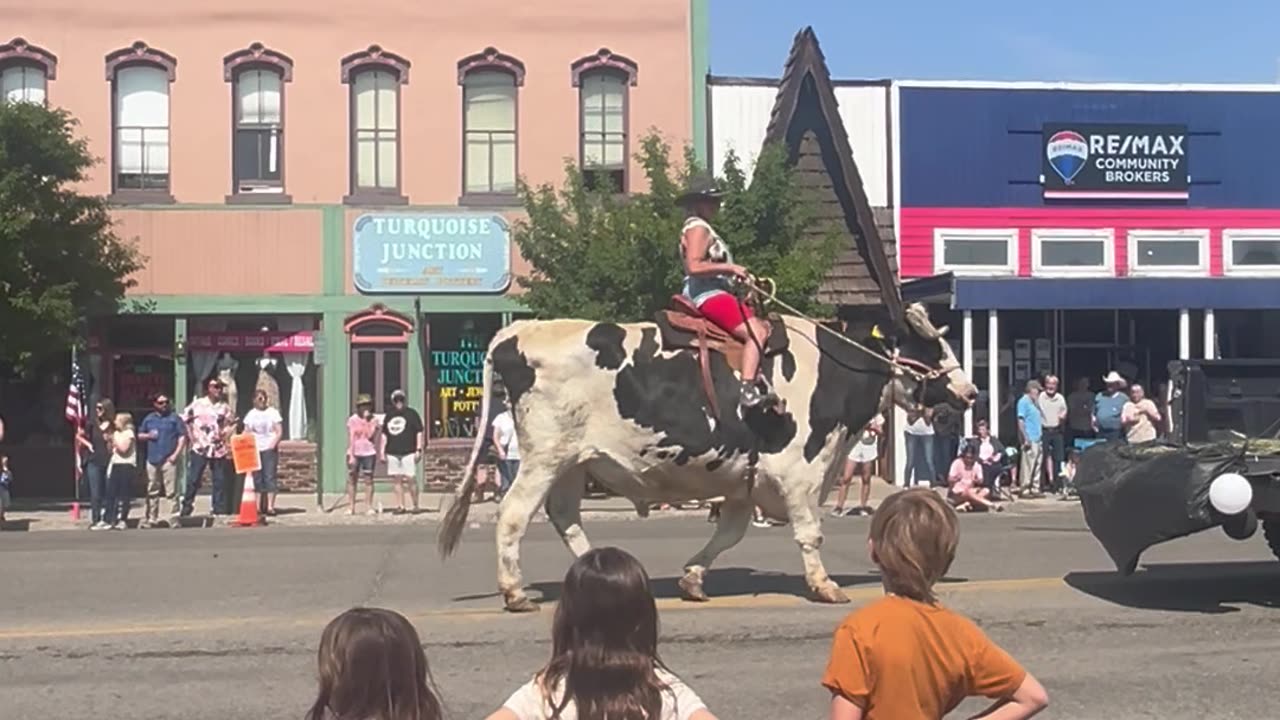 Huge Steer Walks in Rodeo Parade