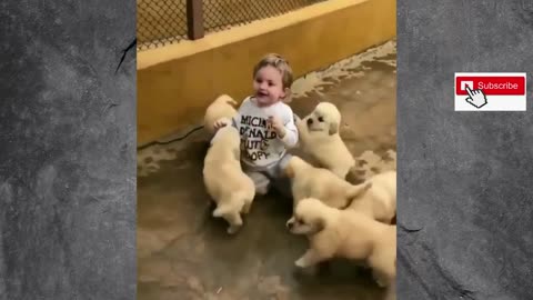 Cute And Funny Pet Videos Compilation to make your day!
