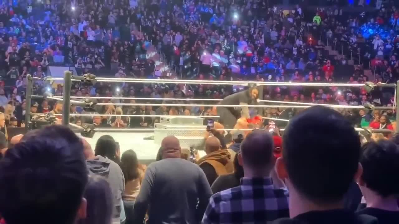 WWE wrestling fight video