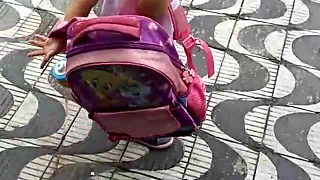 Little Girl Tried To Sneak Her Puppy To School