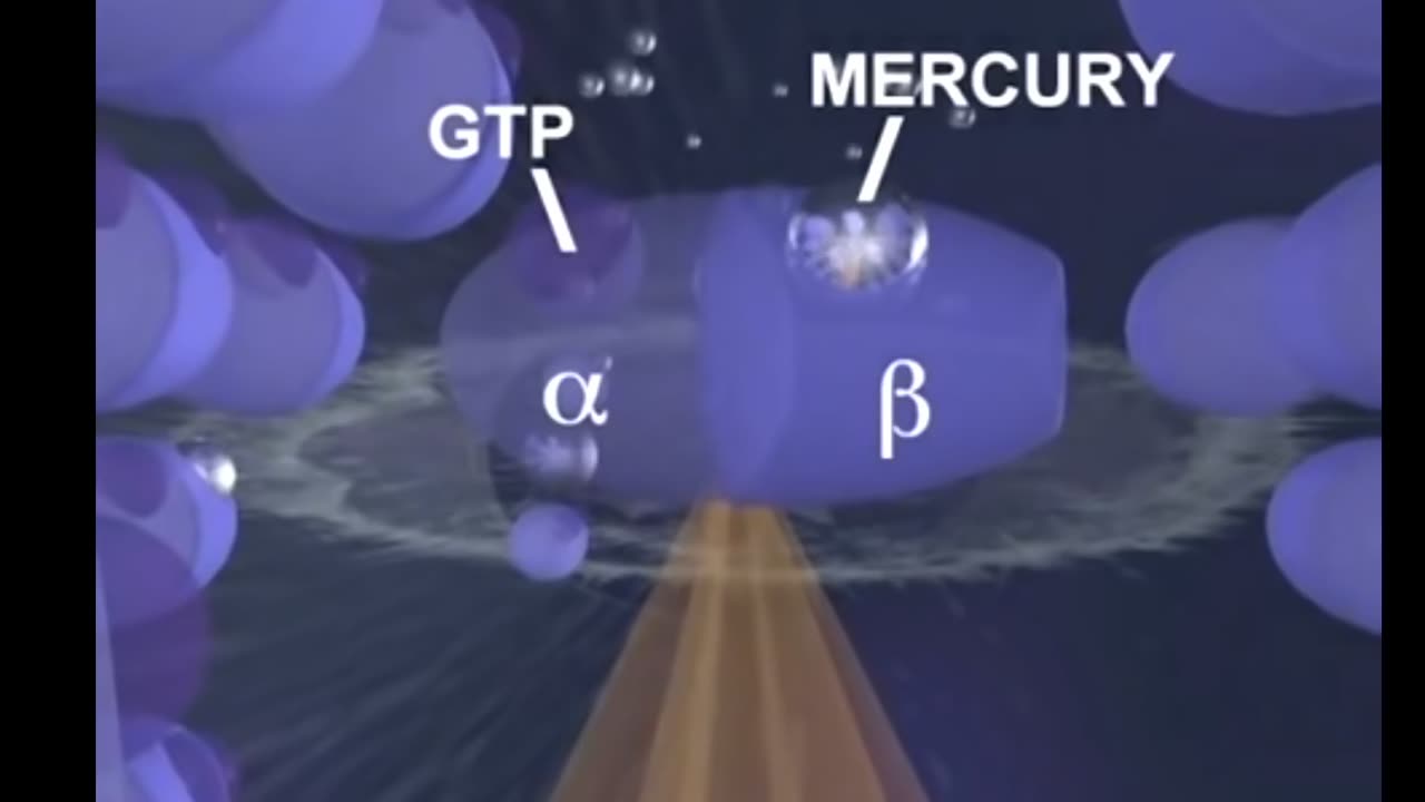 How Mercury Causes Brain Degeneration