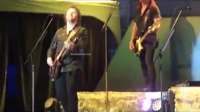 38 Special Live Everybody Shake