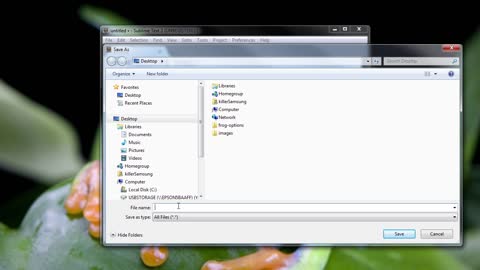 HTML5_PRO_ch3-l1-setting-up-the-basic-html-page-1-720 (720p)