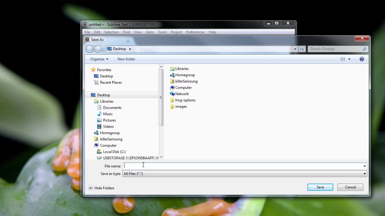 HTML5_PRO_ch3-l1-setting-up-the-basic-html-page-1-720 (720p)