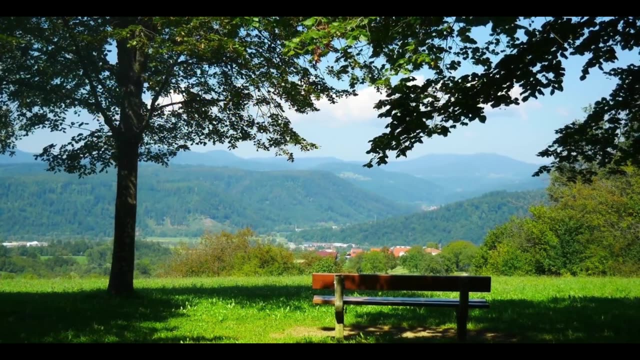 I could sit here all day.