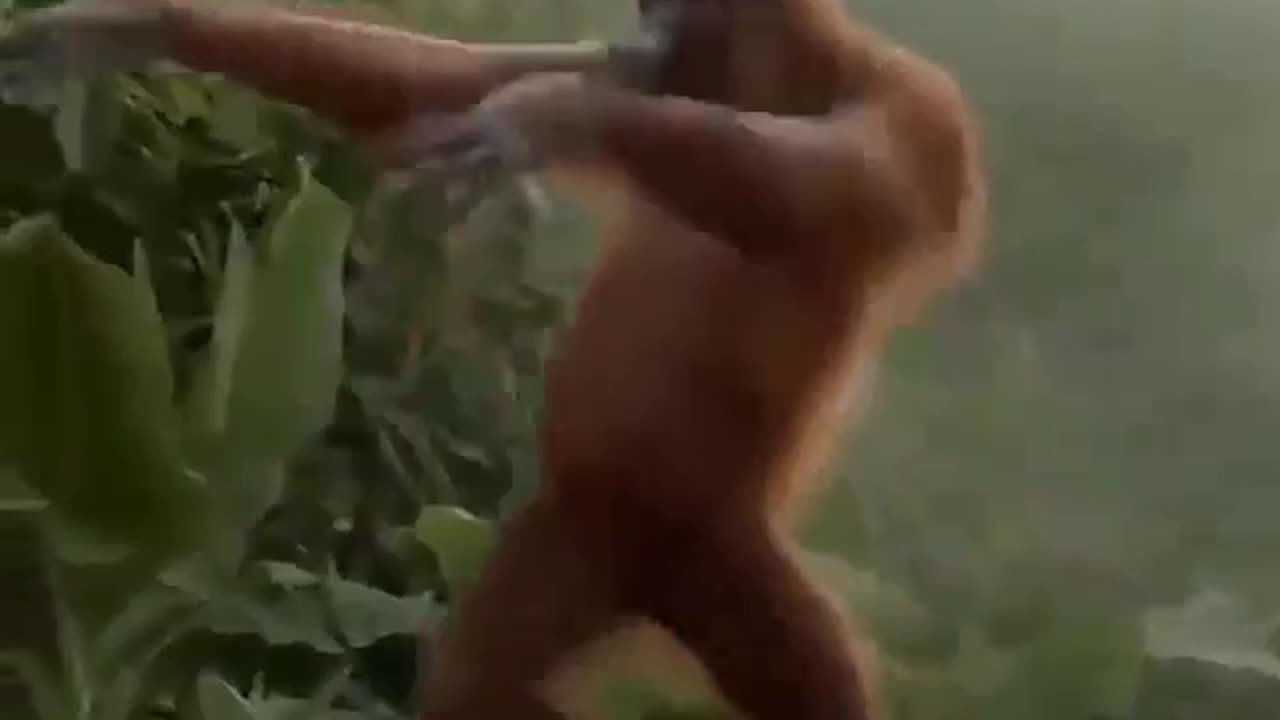 Monkey dance