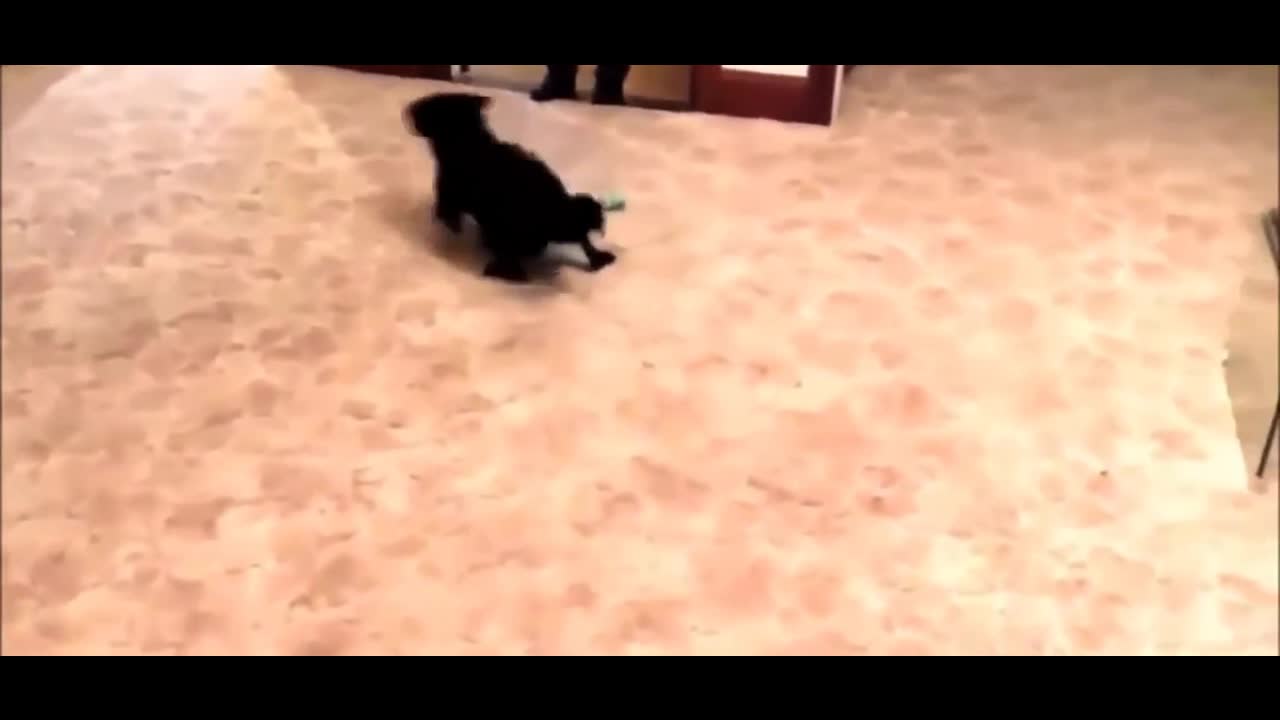 What a nice rug