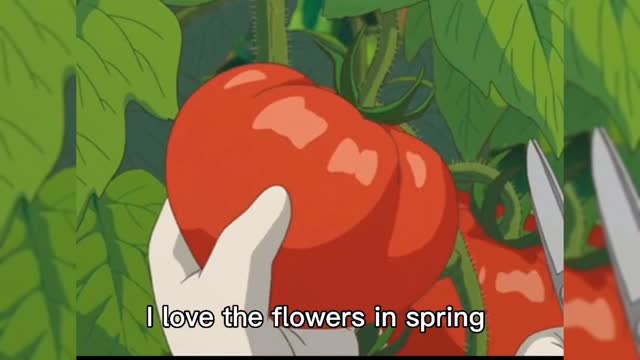 Telling Life with Fun Animation (1)