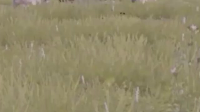 Funny edited with sounds game clip