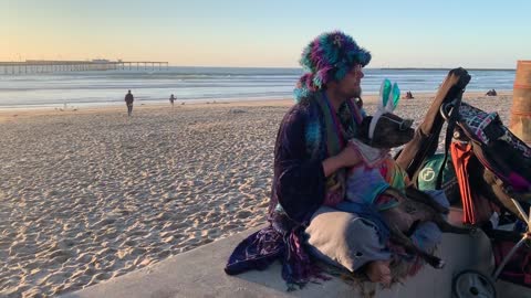 Hippie dog