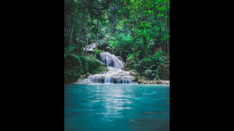 HEALING POWER OF NATURE.