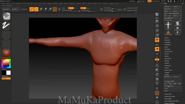 Lesson 2 - Correcting a Blank (ZBrush 2018 Cinema4D)