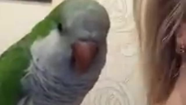 Bird kissing Owner