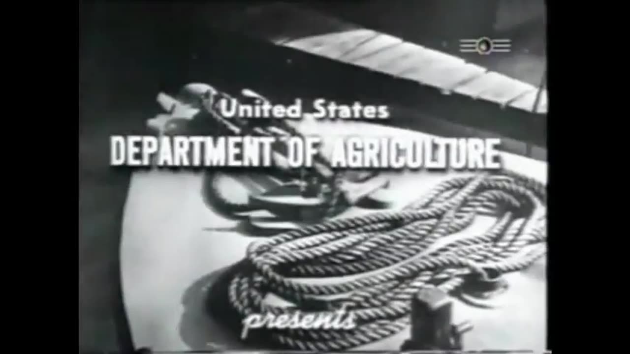 Hanf___Auto___Ol___Kleidung___Dynamit___Erneuerbare_Energie_PUR