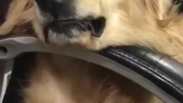 I'm sleeping