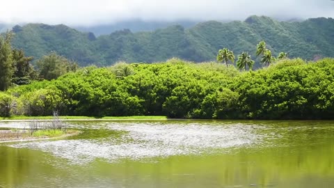 Exploring the Untouched Beauty of Nature