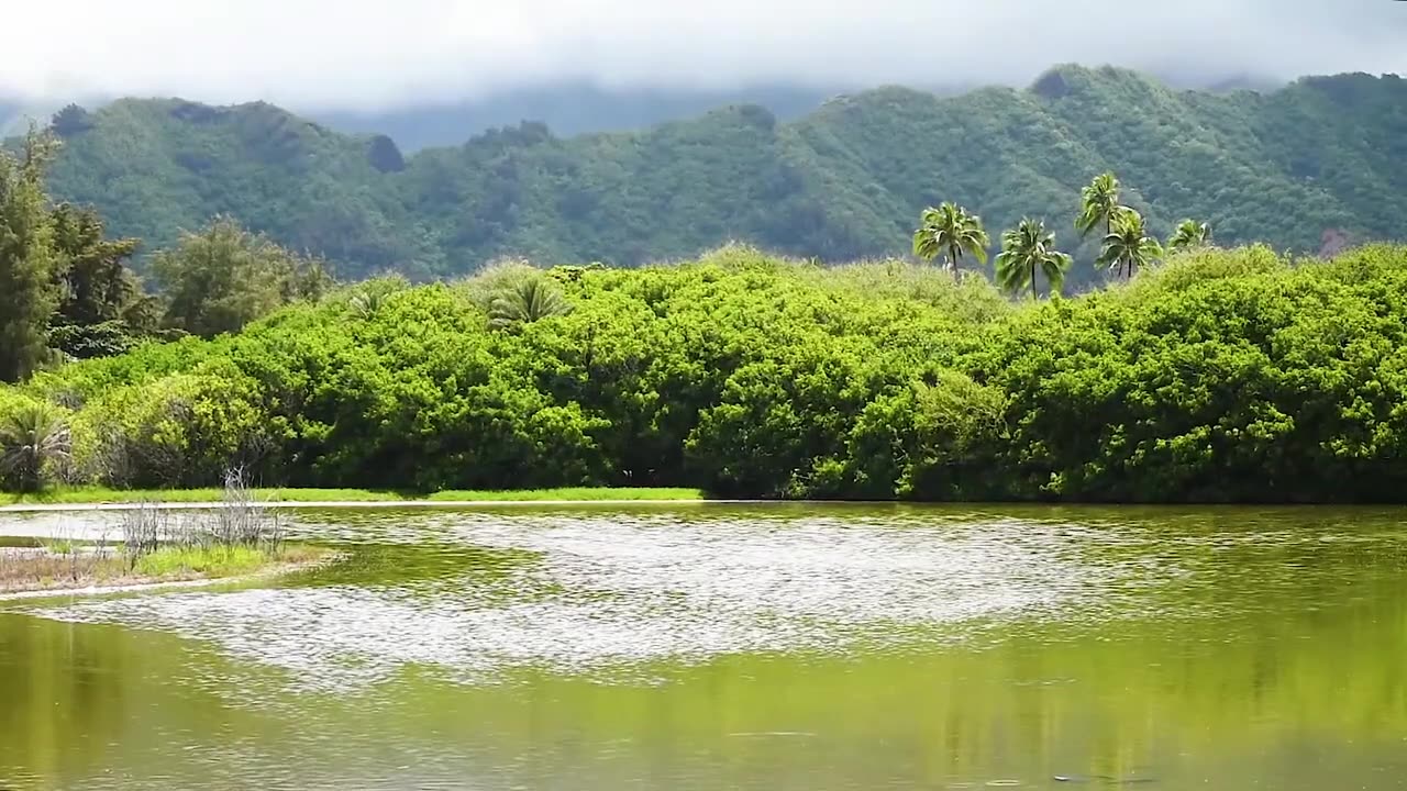Exploring the Untouched Beauty of Nature