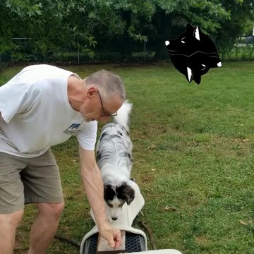 Ruff Cut PodCast: Raised Platform and Balance Beam part 3 cut 3