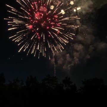 Bellevue, Washington fireworks July 4, 2021-vertical