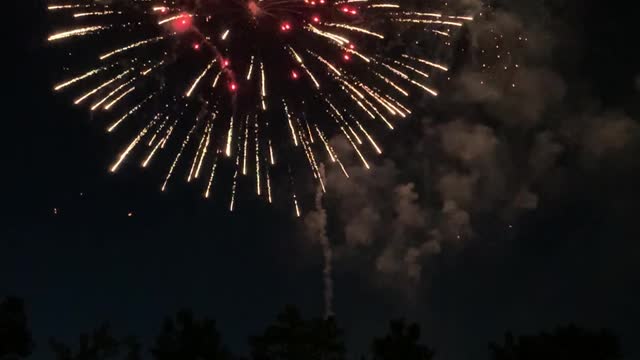 Bellevue, Washington fireworks July 4, 2021-vertical