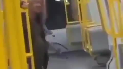 Drunk man with bicycle