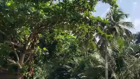 Natural