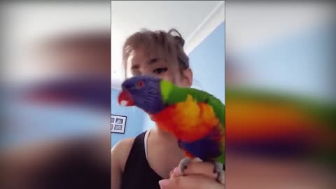 Funny bird