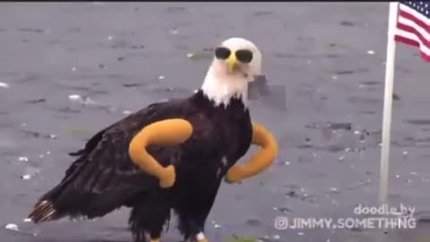 America, F Yeah! — An American Masterpiece