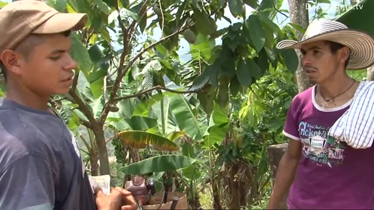Cocaine production in Colombia