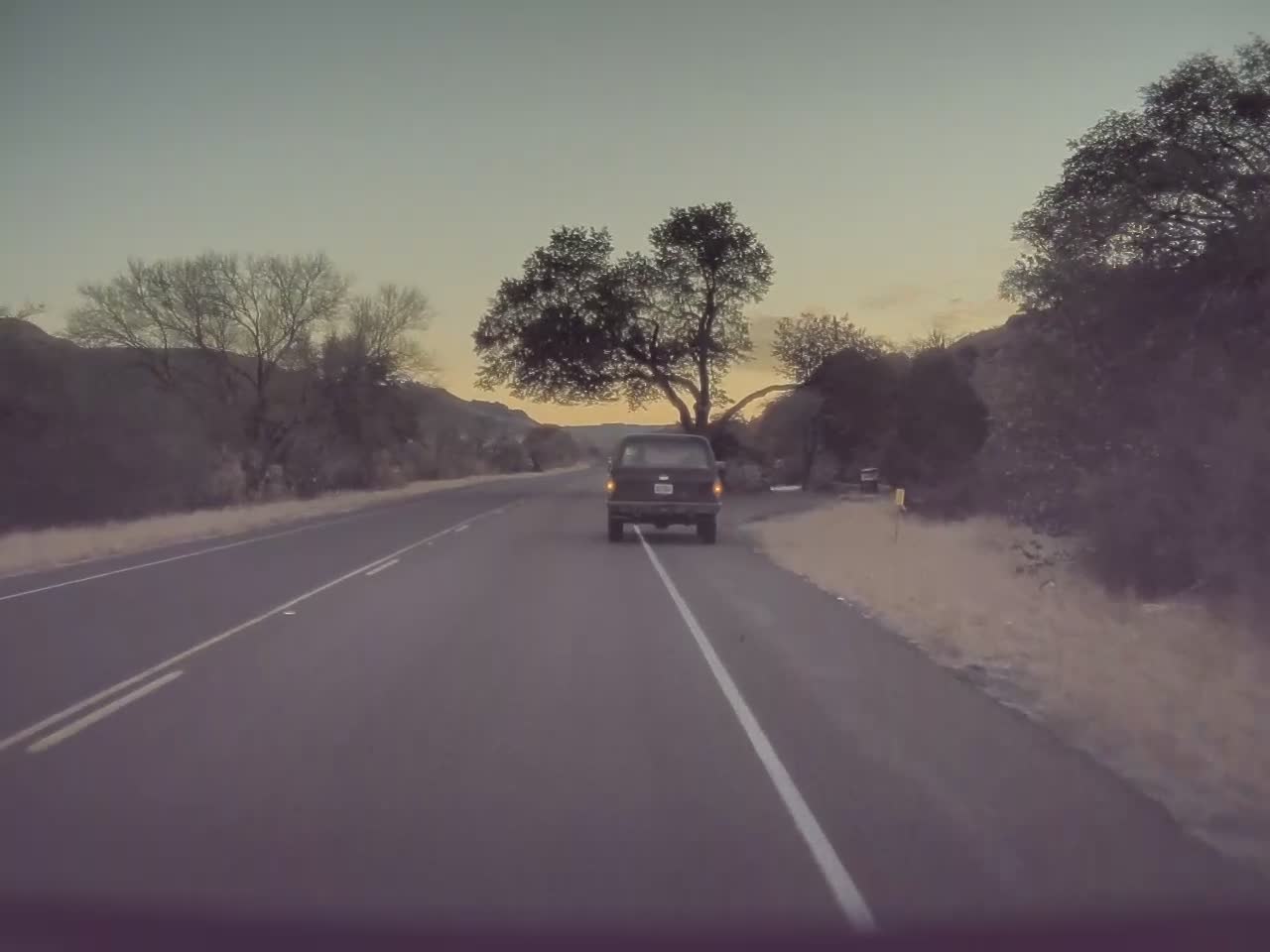 Tesla Model Y camera catches deer strike