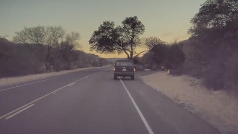 Tesla Model Y camera catches deer strike