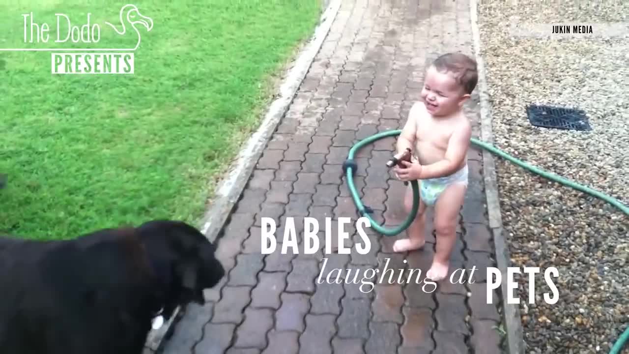 funny babies video