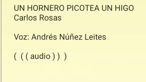 Un hornero picotea un higo (Carlos Rosas) -- Voz: Andrés Núñez Leites