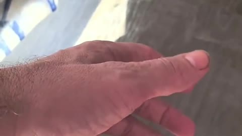 PFIZER SHAKE