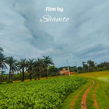 Nature Video Clips # - 05