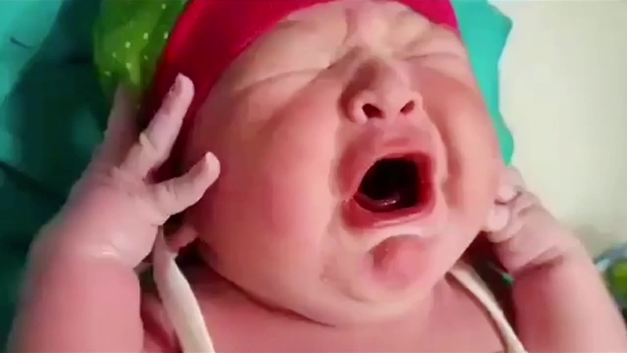 HILARIOUS BABIES AND PETS!
