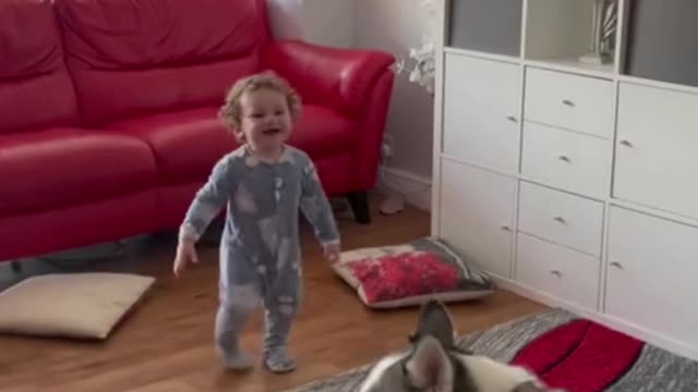 Toddler has fun playing with dog