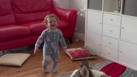 Toddler has fun playing with dog