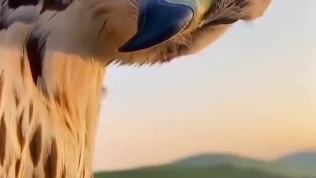 😠ðŸ˜