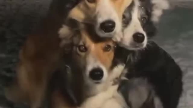 Taking pictures with friends