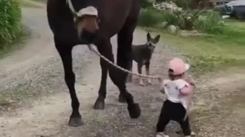 Funny moments kids or animal