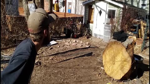 Compilation - Internet Fun and Animals
