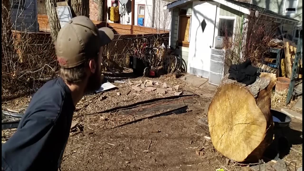 Compilation - Internet Fun and Animals