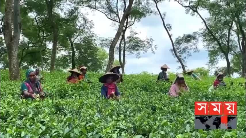 সিলেট ও ময়মনসিংহ বিভাগের এ সপ্তাহের আলোচিত সব ঘটনা - Weekly Top News Of Dhaka and Mymensingh