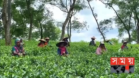 সিলেট ও ময়মনসিংহ বিভাগের এ সপ্তাহের আলোচিত সব ঘটনা - Weekly Top News Of Dhaka and Mymensingh