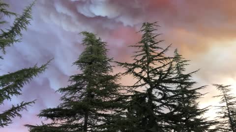 Surreal Apocalyptic Scene From the Oak Fire