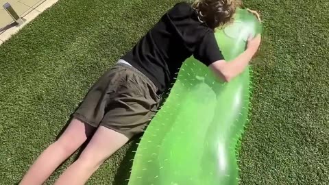 Pickle FLOODED My Garden.