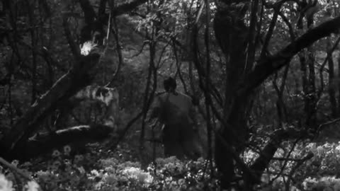 Kurosawa: Seven samurai 1954