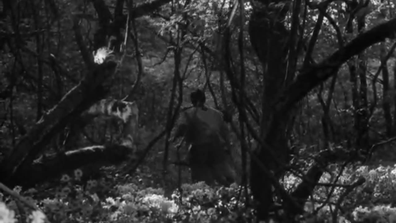 Kurosawa: Seven samurai 1954