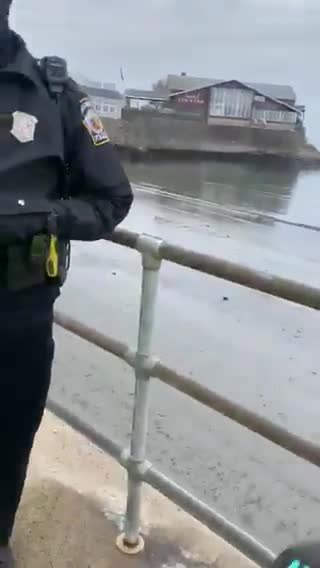 Shimmy gets arrested